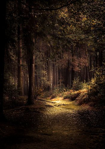 Lemelerberg wandelpad