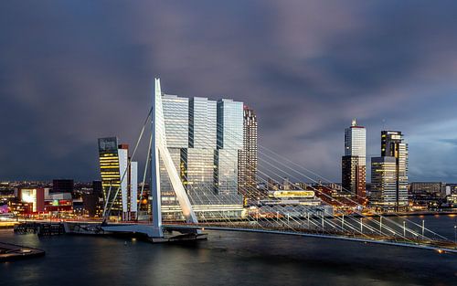 Rotterdam Erasmusbrug bij avond