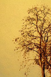 Baum in Gelb und Braun