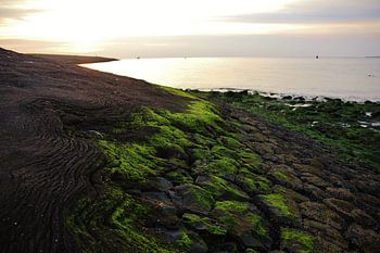 Texel Zeezicht 031