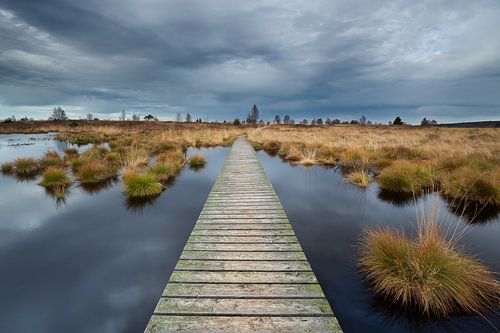 Die Uferpromenade des Hohen Venns.