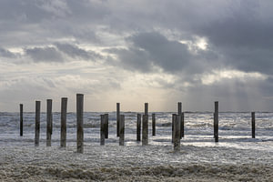 Palendorp Petten