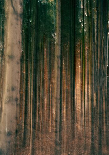 Kwintelooijen part 5