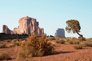 American West - Monument Valley II