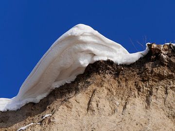 Snow Tongue by Jörg Hausmann