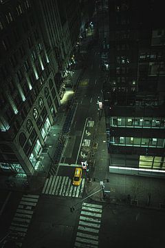 Streets of New York by Niki Moens