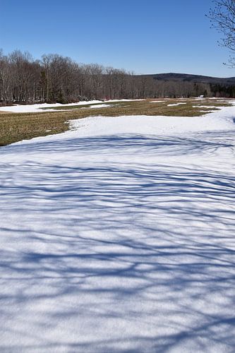 Een veld in de lente