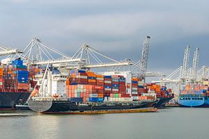 Container schepen in de haven van Rotterdam van Sjoerd van der Wal Fotografie