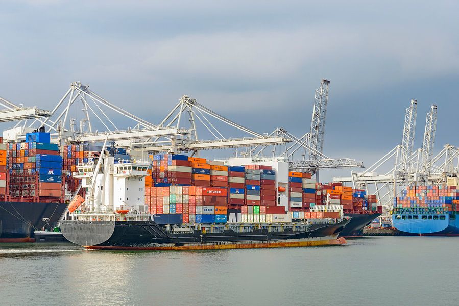 Container schepen in de haven van Rotterdam van Sjoerd van der Wal