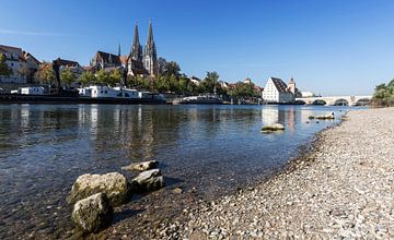 Regensburg Donau en Oude Stad van Frank Herrmann