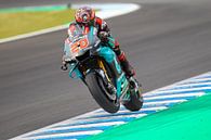 Fabio Quartararo/MotoGP Jerez van Marco Dek thumbnail