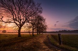 Lente by Peter Grannetia