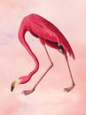 Flamingo Roze van Kjubik thumbnail