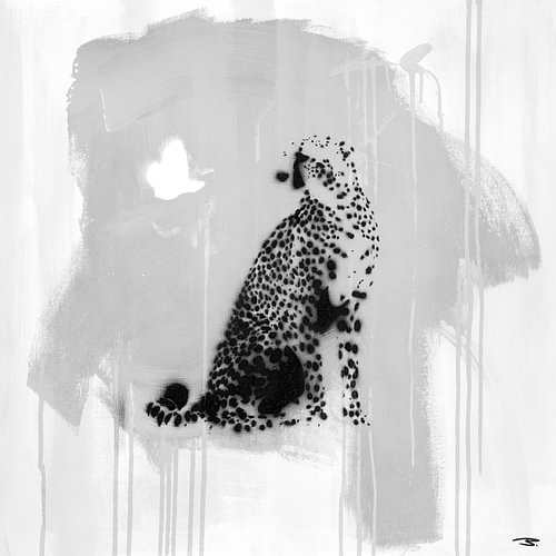 cheetah & butterfly