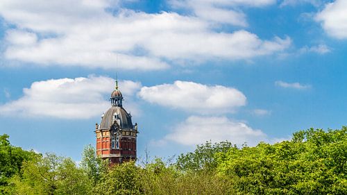 Top van de watertoren boven de boomtoppen