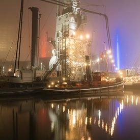 Misty Leuvehaven Rotterdam by Bob Vandenberg