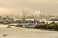 Der Hafen von Rotterdam von Frans Blok Miniaturansicht