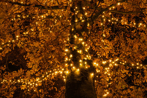 Weihnachtsbaum in Buren.