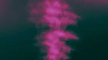 Dynamische Farbexplosion: Ein künstlerisches Bild von sich bewegenden Blumen in Rosa und Lila, eingefangen in einem poetischen Tanz aus Licht und Form