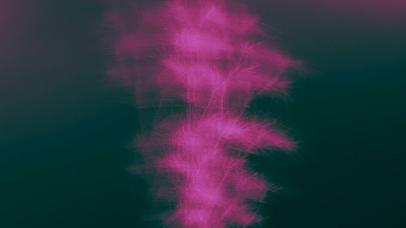 Dynamische Farbexplosion: Ein künstlerisches Bild von sich bewegenden Blumen in Rosa und Lila, eingefangen in einem poetischen Tanz aus Licht und Form von ByLulu