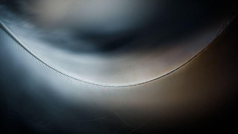 Bilanz von Annemarie Veldman