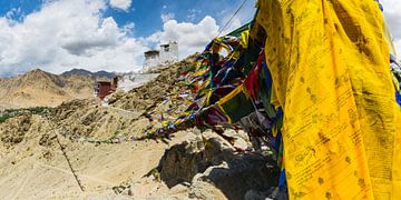 Namgyal Tsemo Gompa-klooster, Tsenmo-heuvel, Leh, Ladakh, Jammu en Kasjmir, India, Azië