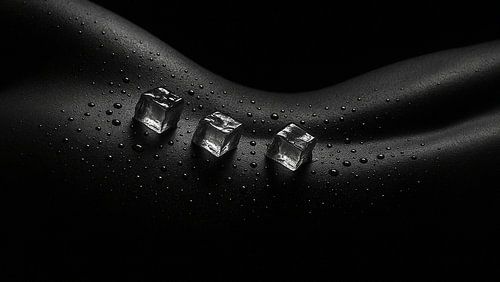 Artistic black-and-white photo with ice and skin - modern wall decoration with contrast and tension