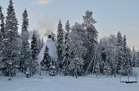Tipi in Lapland by Marcel Schouten thumbnail