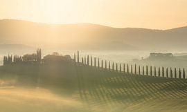 Tuscany Poggio Covili by Steve Watteeuw