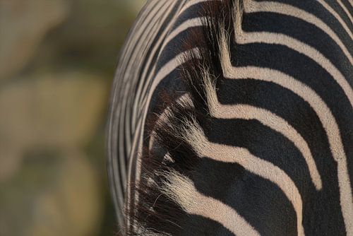 Natuurlijke strepen ...