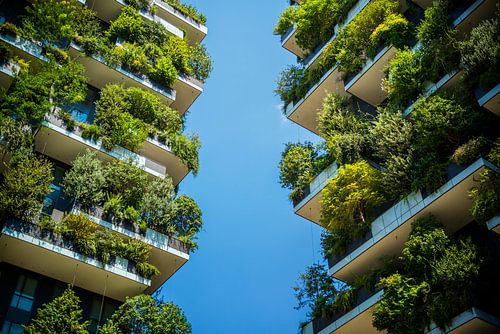 Les cabanes d'arbres de Bosco Verticale Milan