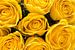 Sieben gelbe Rosen von Frans Blok