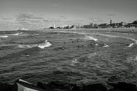Surfers Scheveningen
