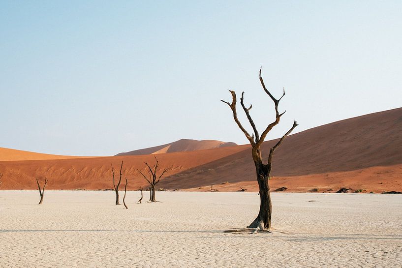 Deadvlei | Namibia, Sossusvlei by Suzanne Spijkers