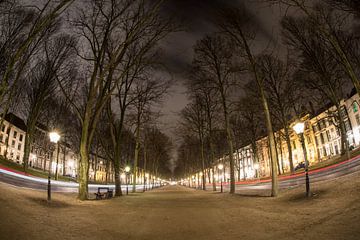 Lange Voorhout in Den Haag