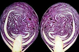 Coupe transversale du chou rouge sur Sjoerd van der Wal Photographie