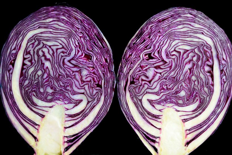 Rotkohl-Querschnitt von Sjoerd van der Wal Fotografie