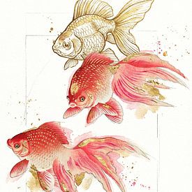 Golden Goldfish von J.O. Han