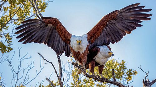 Five Hours for One Moment