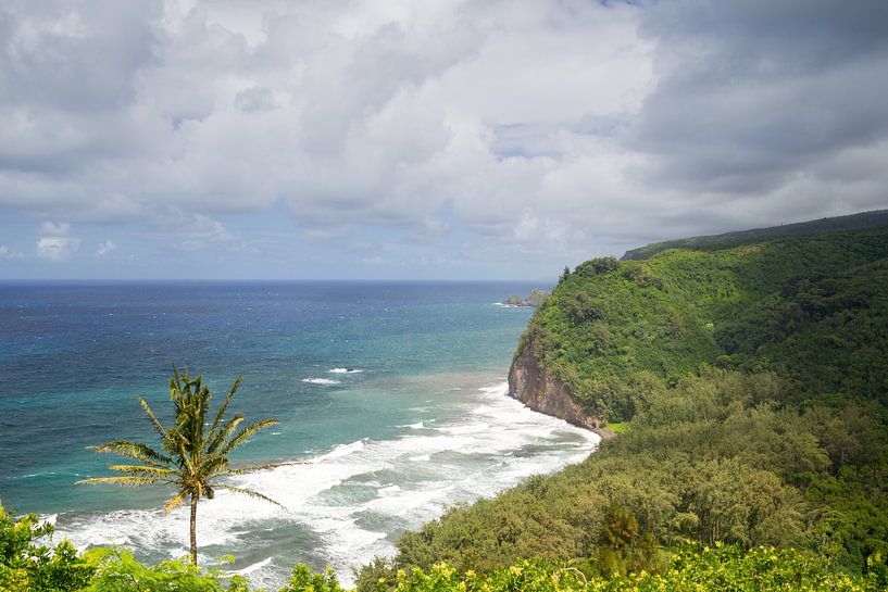 Pololu Valley, Big Island, Hawaii von Dirk Rüter