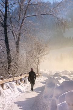 Strolling in the winter by Christa Thieme-Krus