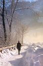 Strolling in the winter by Christa Krus thumbnail