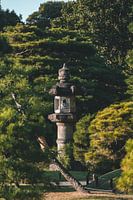 japanischer Tempelgarten