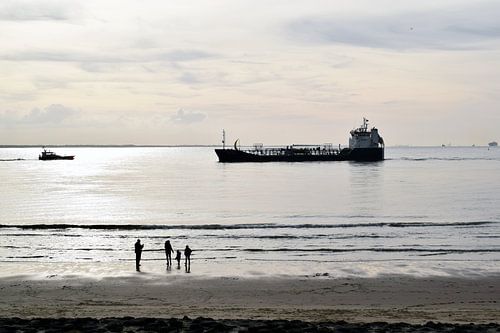 pilotage moving towards bick ship at sundown, Vlissingen