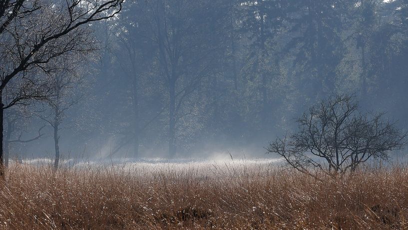 Dreamy nature by Arthur van der Zwan
