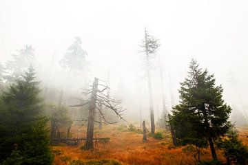 Brocken in de mist by Jan Sportel Photography