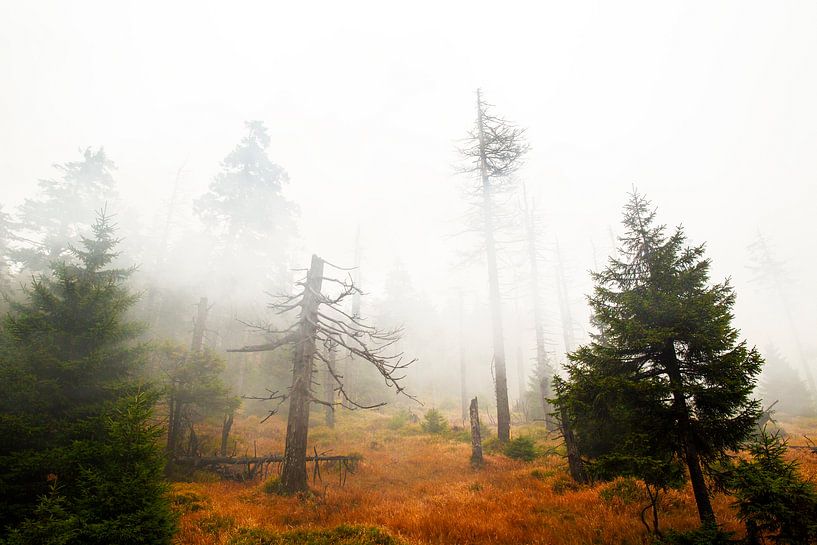 Brocken in de mist par Jan Sportel Photography
