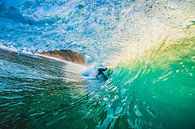 Surfing par Andy Troy Aperçu