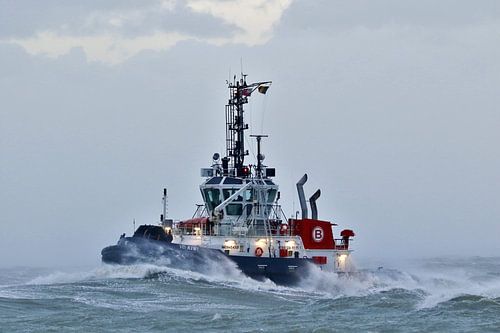 VB Kiwi in zwaar weer