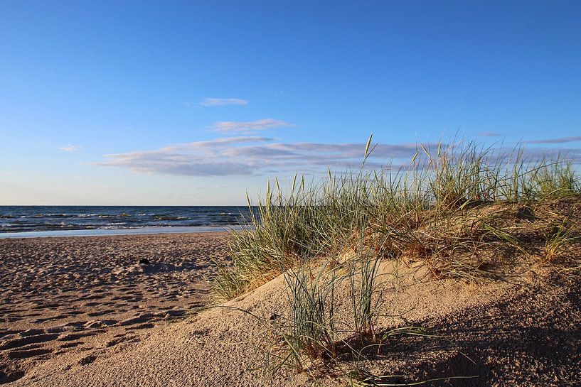 April dunes by Ostsee Bilder